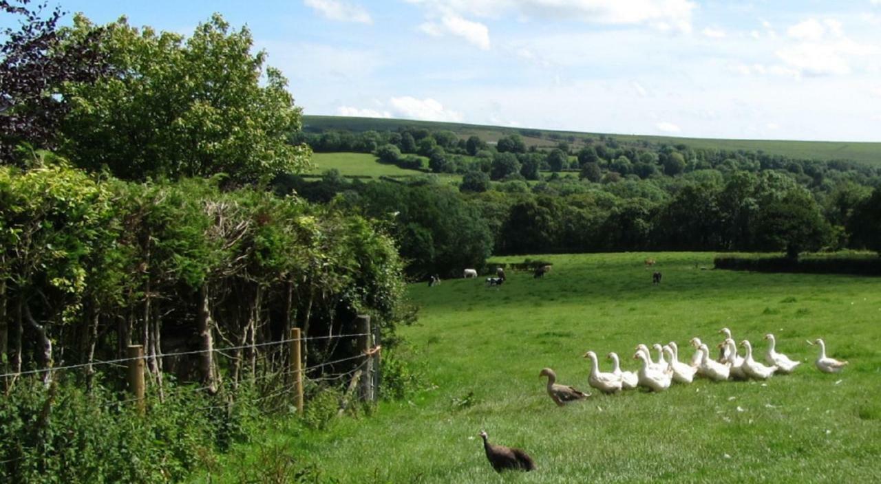 Heathergate Cottage Dartmoor Bnb Lydford Exterior photo